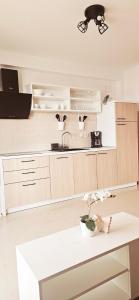 Kuchyň nebo kuchyňský kout v ubytování APARTMENTS LUMA 1