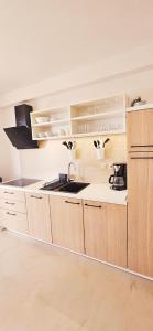 Kuchyň nebo kuchyňský kout v ubytování APARTMENTS LUMA 1