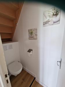 a bathroom with a toilet and a staircase at Maison de ville à saint coulomb in Saint-Coulomb +8 photos