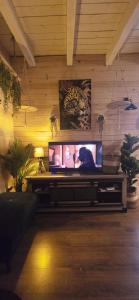 TV a/nebo společenská místnost v ubytování Grand gîte atypique