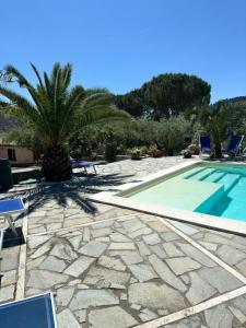 a swimming pool with a palm tree next to a resort at Villa Graziella Perugia in Perugia