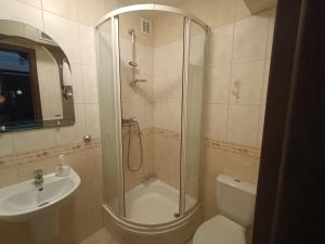 a bathroom with a shower and a toilet and a sink at Mazury, Domek pod Lasem in Koczek +15 photos