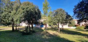 a group of trees in front of a building at Maisonnette Sous les chênes GARD 30 in Sauve