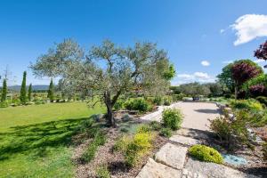 a tree in a park with a pathway at La Bastide de Clara in Oppède +35 photos