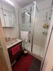 a bathroom with a shower and a sink with a red rug at Entre Seine et Forêt in Avon