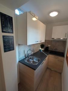 a kitchen with a sink and a counter top at App Hedonist in Novigrad Istria