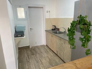 Η κουζίνα ή μικρή κουζίνα στο Hayas place +2 φωτογραφίες