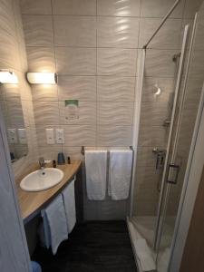 een badkamer met een wastafel en een douche met handdoeken bij Auberge du château de Joux in La Cluse et Mijoux +37 foto's