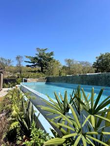 una piscina con agua azul y plantas en Habitacion con Jacuzzy en Dani's Guest House, en Las Galeras