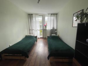 Zdjęcie z galerii obiektu Jelenia we Wrocławiu