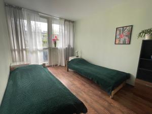 Zdjęcie z galerii obiektu Jelenia we Wrocławiu