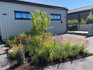 a garden with flowers in front of a building at Stuga Varberg Södranäs in Varberg