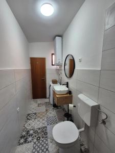 a bathroom with a toilet and a sink and a mirror at Holiday Home Marija in Biograd na Moru +27 photos