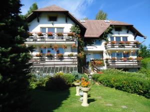 Zahrada ubytování Pension Dana