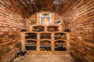 a room filled with bottles of wine in a brick wall at Vinoza - ubytování a vinný sklep Moravský Žižkov in Moravský Žižkov +12 photos