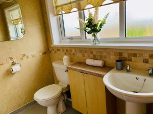 a bathroom with a toilet and a sink and a window at Home like 3 bed house Sheffield in Sheffield