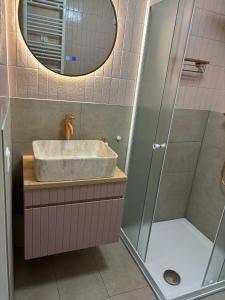 TzummarumにあるVrijstaande en knusse vakantiewoning in Tzummarumの洗面台とシャワー付きのバスルーム
