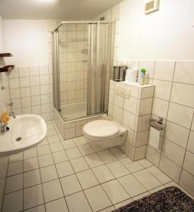 a bathroom with a toilet and a shower and a sink at Ferienwohnung Lerbachtal L3 in Osterode