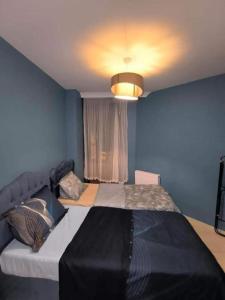 a bedroom with a large bed and a blue wall at LINCON inn in Aqaba +12 photos