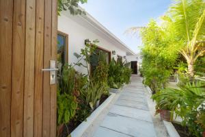 Zahrada ubytování Oasis Dhigurah