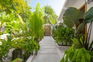 Zahrada ubytování Oasis Dhigurah