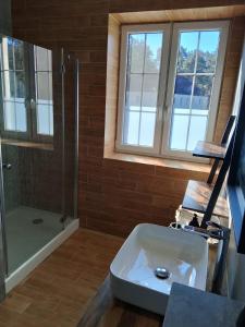 a bathroom with a shower and a white sink at Jeziorna Residence Borne Sulinowo in Borne Sulinowo
