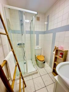 a bathroom with a shower and a toilet and a sink at Agréable t2 calme centre-ville Cahors in Cahors