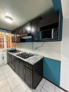 a kitchen with black cabinets and a stove top oven at Casa residencial Santa María in Oaxaca City +13 photos