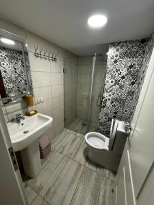 a bathroom with a toilet and a sink and a shower at Bujtina Shen Meria in Burimas