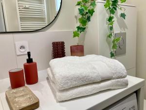 eine Badezimmertheke mit zwei Handtüchern und einem Spiegel in der Unterkunft F2 Ma Bohème classé 3 étoiles in Courcouronnes + 44 Fotos