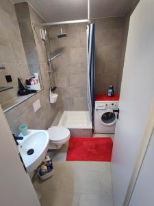 a bathroom with a toilet sink and a washing machine at Apartment Lieblingsplatz in Hameln