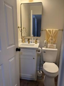 a bathroom with a toilet and a sink and a mirror at Marvelous 3-bedroom 2-bathroom house with Central Air charming Georgetown in Georgetown