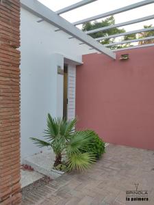 Un patio con solárium en el lateral de una casa. en Spinola Beachfront Bungalows - Apartamentos bungalow en primera linea de playa en Sanlúcar de Barrameda, en Sanlúcar de Barrameda