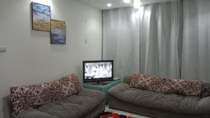 a living room with a couch and a tv at 378 Pyramids apartment in Nazlet el-Sîsi