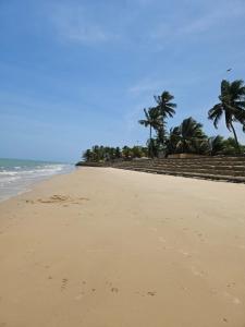 an empty beach with palm trees and the ocean at CASA COLONIAL Ilha da Croa in Barra de Santo Antônio
