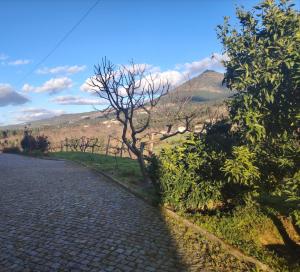 a cobblestone road with trees and mountains in the background at Room das Lindos in Mondim de Basto