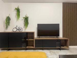 TV a/nebo společenská místnost v ubytování Apartament Urban Chic