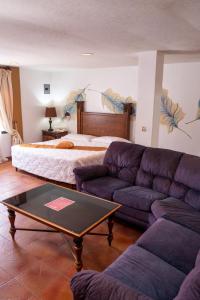 圣克鲁斯德约霍阿Hotel Posada del Rey的带沙发和床的客厅