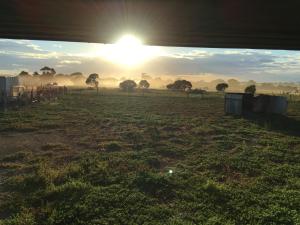 um nascer do sol num campo com o sol no céu em Spirit of Tasmania Stopover 3 secure DIDO sites SC Motor Homes RVs ONLY! BYO Toilet and bed! Private Hobby Horse Farm Rooms extra em Lara mais 21 fotografias