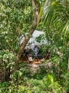 Zahrada ubytování Ku kuk Glamping