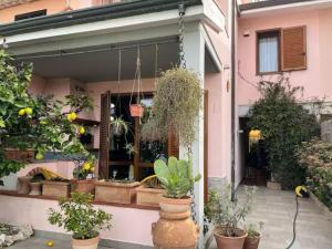 Zahrada ubytování Casa Audrey