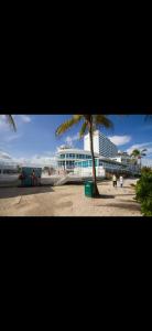 a palm tree on a beach with a building at Castle beach studio,tennis court and swimming pool with beach access in Miami Beach