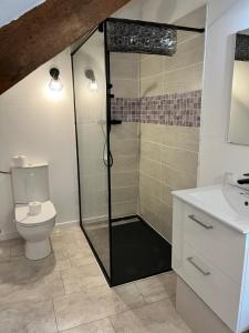 a bathroom with a shower with a toilet and a sink at Le Gué de Clecy in Le Vey +21 photos