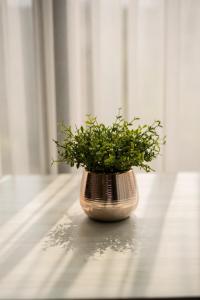a plant in a vase sitting on a table at Modern Condo in Nimman P608 by Pimolplace in Chiang Mai