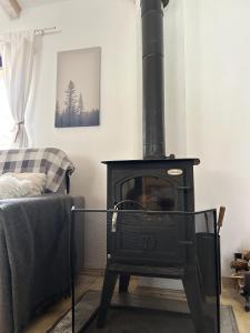 a black stove in a living room with a couch at VILLA INBAR - Village house on the river in Boykovets