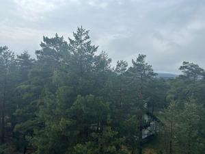 Príroda v okolí apartmánu