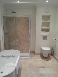 a bathroom with a shower and a toilet at Ogilvy House in Cromer