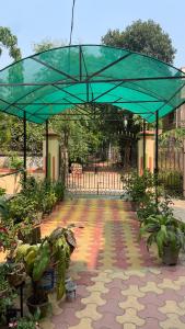 a green umbrella over a courtyard with potted plants at Ichhamati Homestay in Shānti Niketan