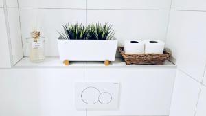 Fotografie z fotogalerie ubytování Apartment Holata 201 v destinaci Hradec Králové