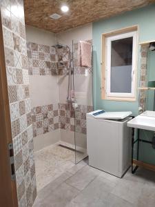 a bathroom with a shower and a sink at Le Logis de Jade in Saint-Léon +21 photos